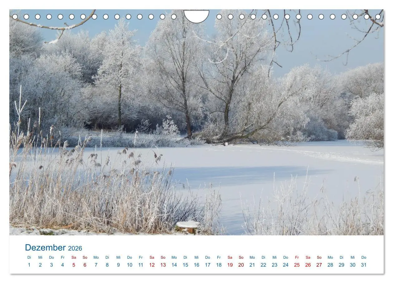 Bild: 9783457895450 | Kreis Steinburg (Wandkalender 2026 DIN A4 quer), CALVENDO...