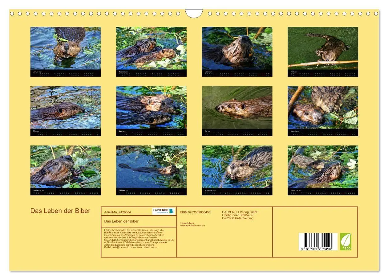 Bild: 9783569835450 | Das Leben der Biber (Wandkalender 2027 DIN A3 quer), CALVENDO...