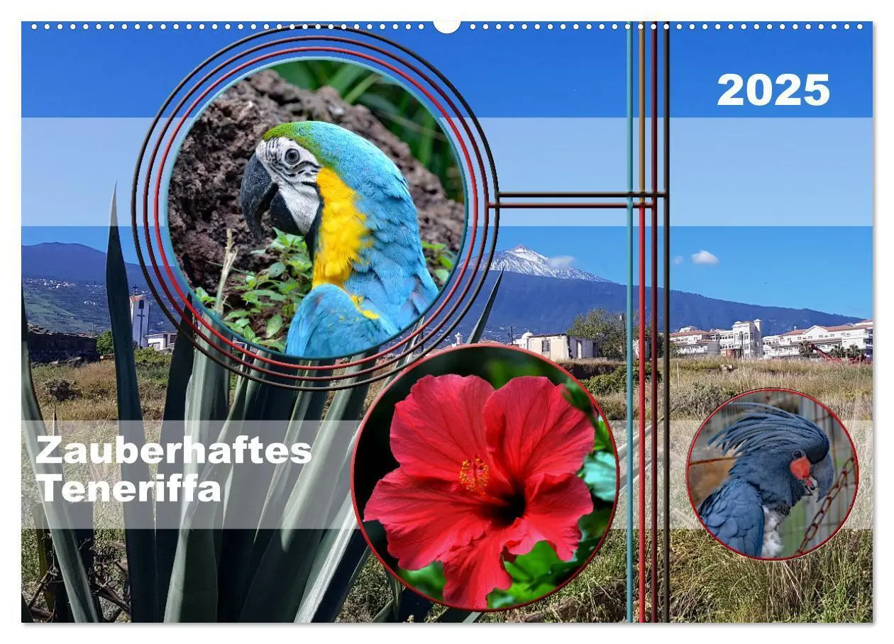 Cover: 9783435005550 | Zauberhaftes Teneriffa (Wandkalender 2025 DIN A2 quer), CALVENDO...