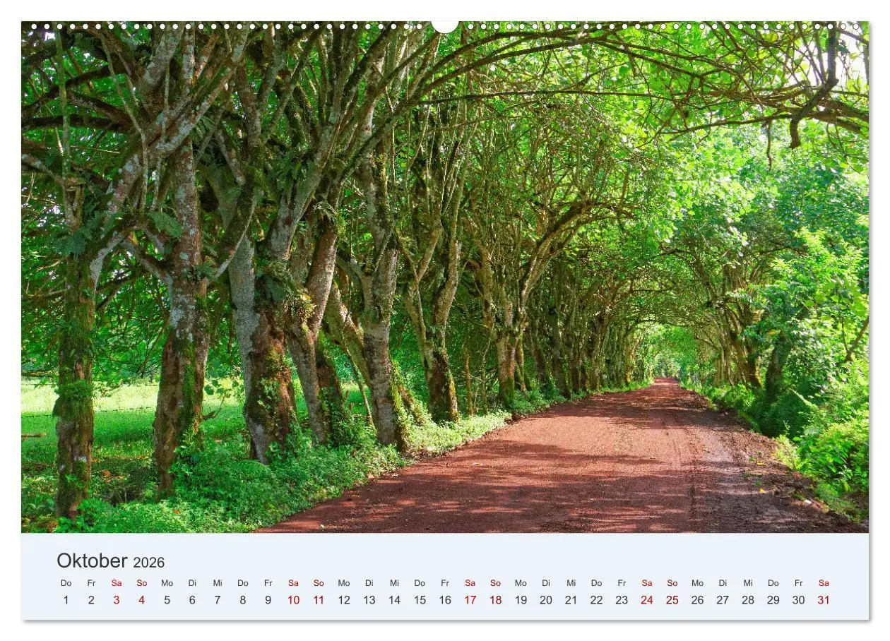 Bild: 9783457405550 | Entdecke Galapagos (hochwertiger Premium Wandkalender 2026 DIN A2...