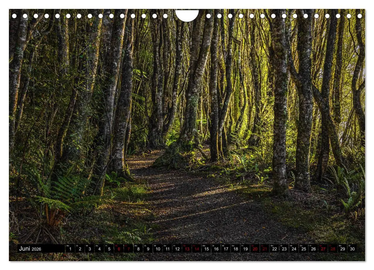Bild: 9783457885550 | Trauminseln Neuseeland (Wandkalender 2026 DIN A4 quer), CALVENDO...