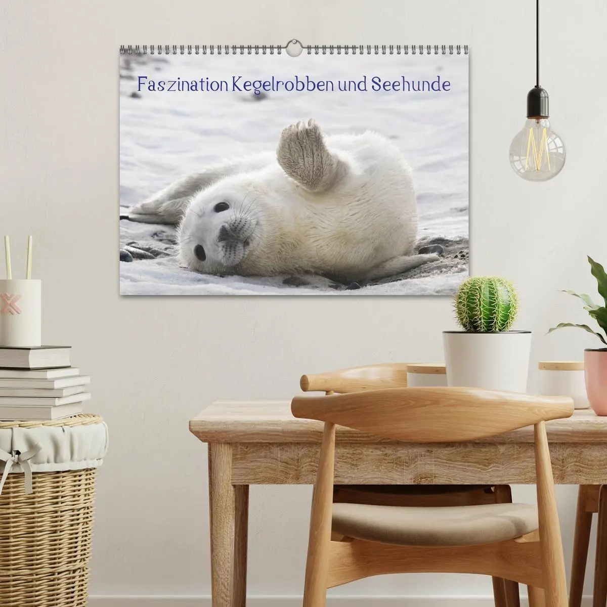 Bild: 9783594025550 | Faszination Kegelrobben und Seehunde 2027 (Wandkalender 2027 DIN A3...