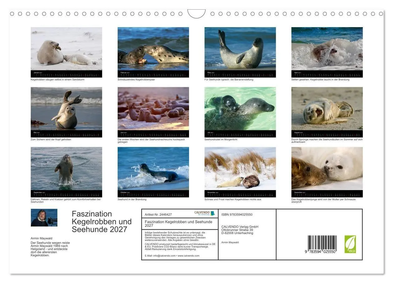 Bild: 9783594025550 | Faszination Kegelrobben und Seehunde 2027 (Wandkalender 2027 DIN A3...