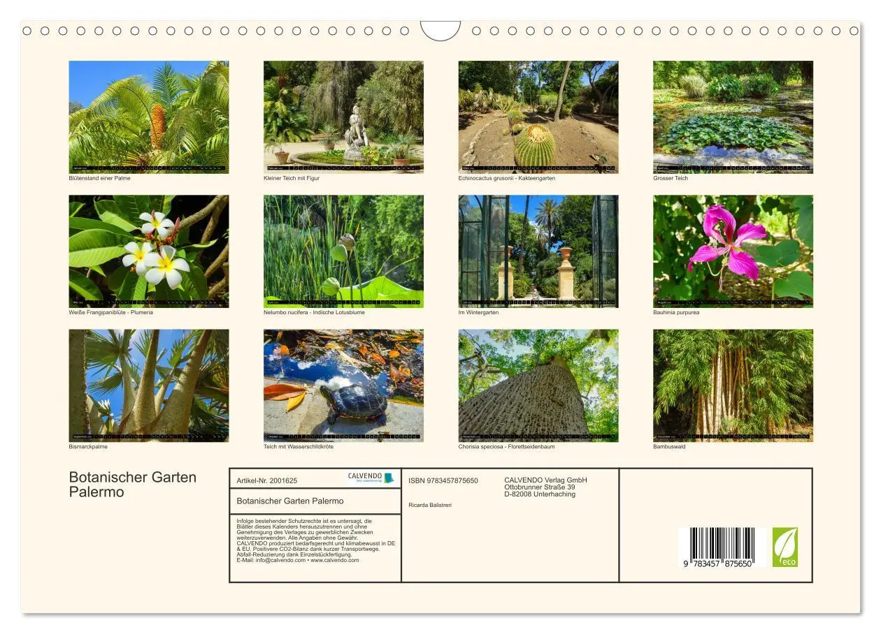 Bild: 9783457875650 | Botanischer Garten Palermo (Wandkalender 2026 DIN A3 quer),...