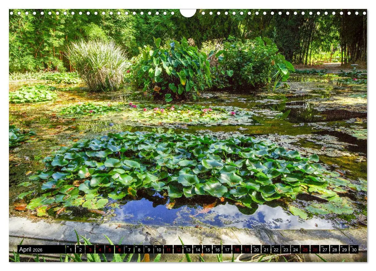Bild: 9783457875650 | Botanischer Garten Palermo (Wandkalender 2026 DIN A3 quer),...