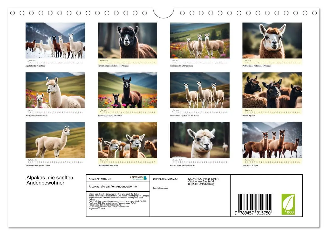 Bild: 9783457315750 | Alpakas, die sanften Andenbewohner (Wandkalender 2026 DIN A4 quer),...