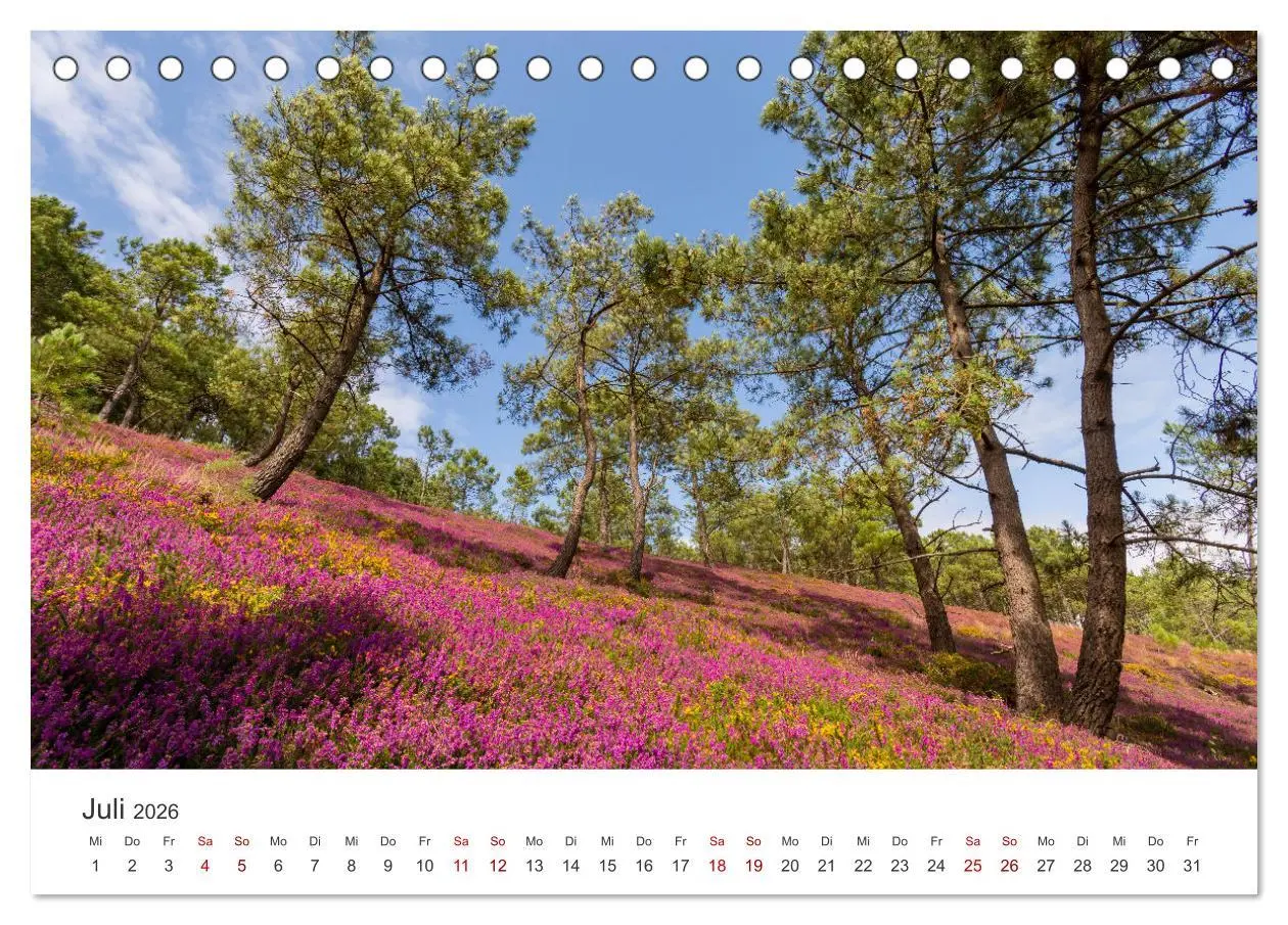 Bild: 9783457485750 | Die Bretagne - Traumpfade (Tischkalender 2026 DIN A5 quer),...