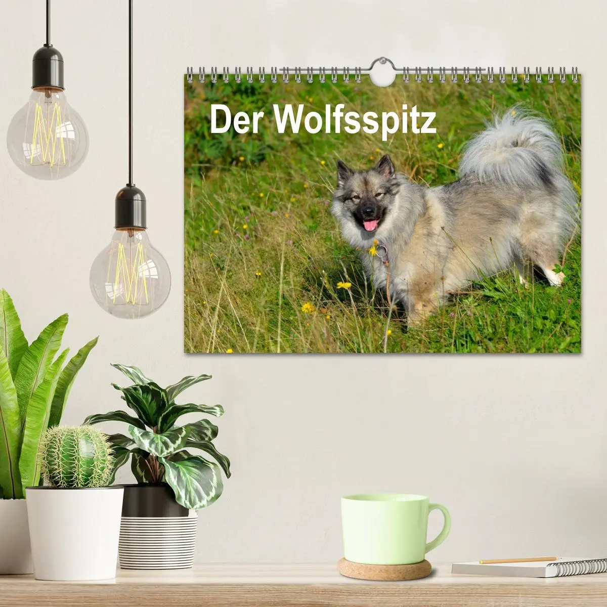 Bild: 9783516195750 | Der Wolfsspitz (Wandkalender 2026 DIN A4 quer), CALVENDO...