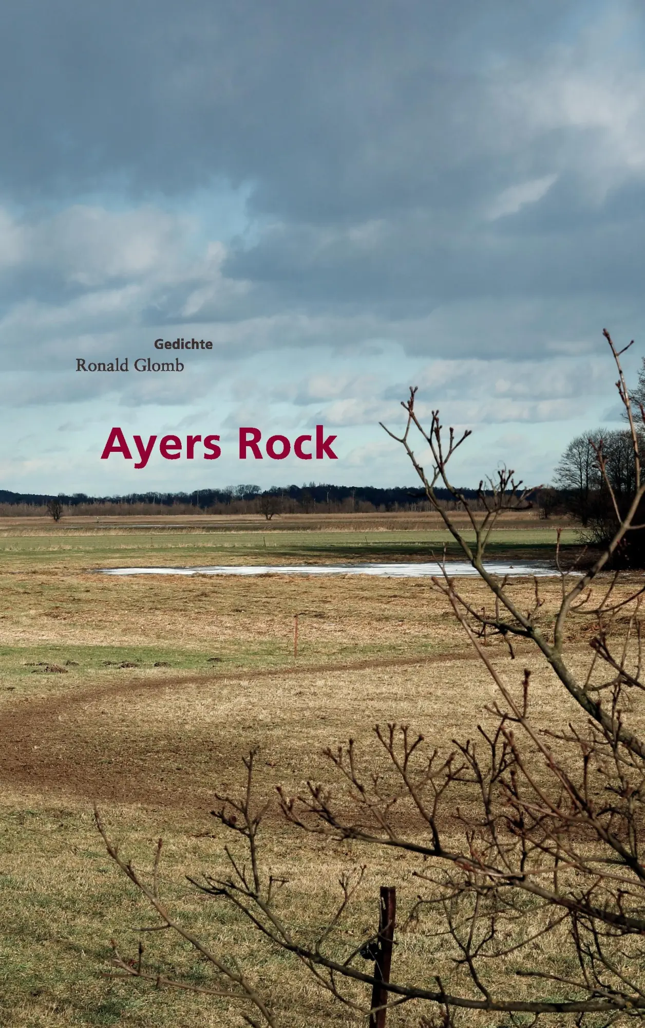 Cover: 9783842355750 | Ayers Rock | Gedichte | Ronald Glomb | Taschenbuch | 128 S. | Deutsch