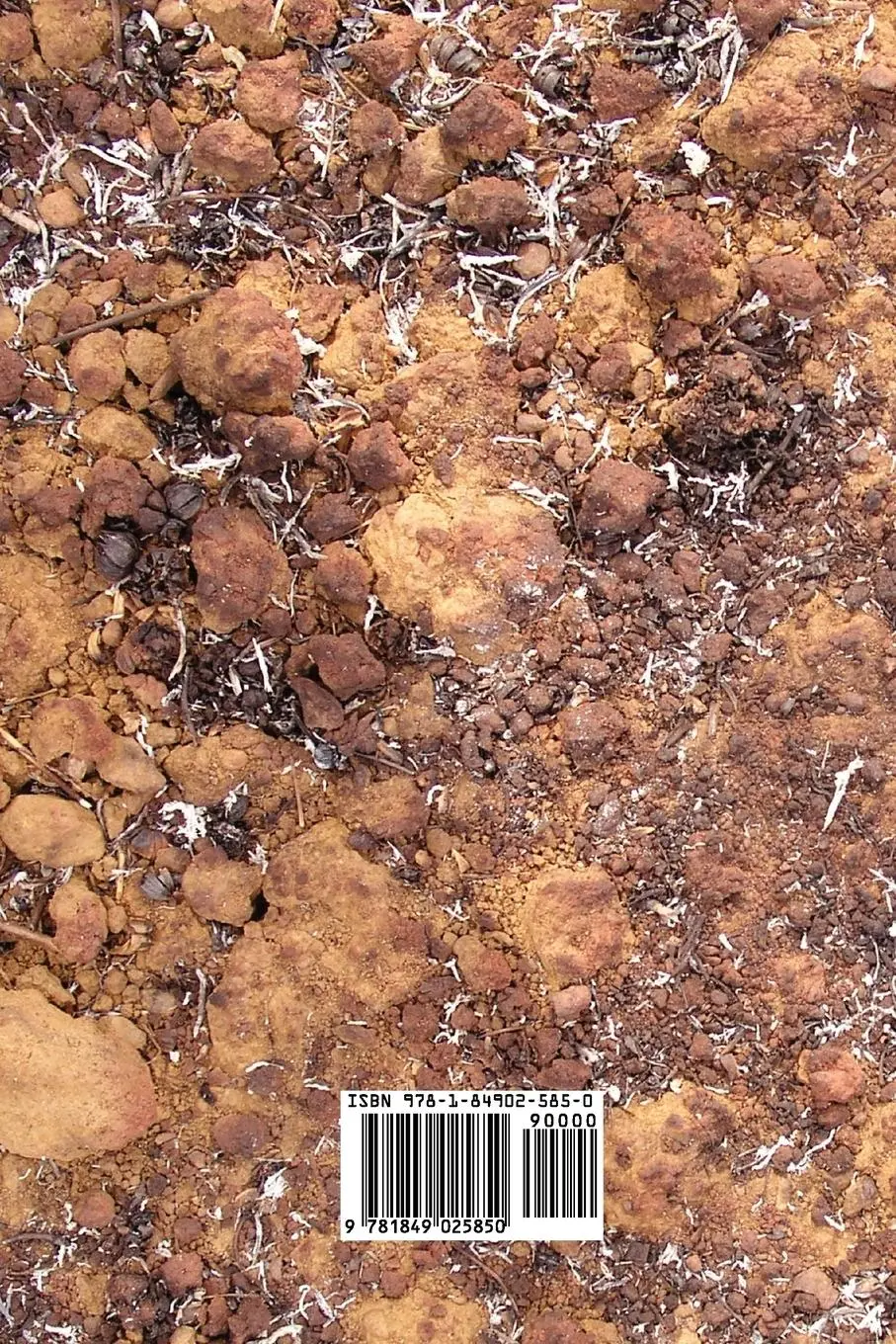 Rückseite: 9781849025850 | Barren Ground | Ellen Glasgow | Taschenbuch | Englisch | 2010