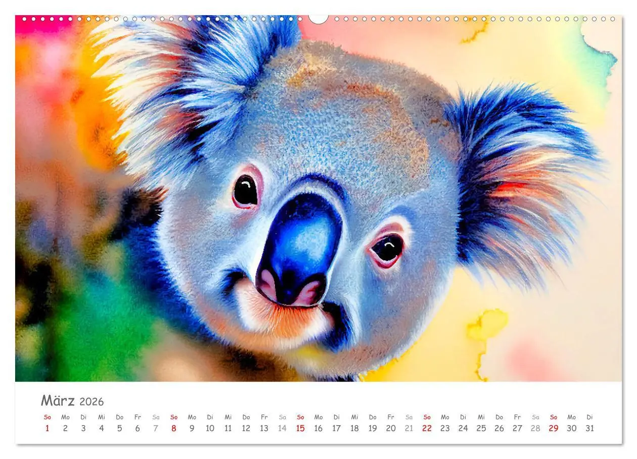 Bild: 9783457855850 | Der Koala 2026. Aschgrauer Beutelbär (Wandkalender 2026 DIN A2...