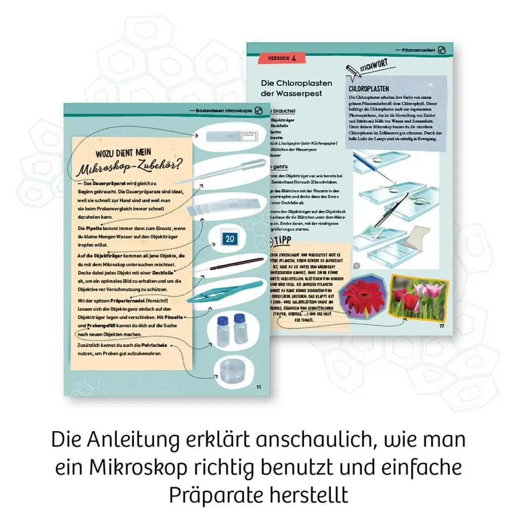 Bild: 4002051636050 | Entdecker-Mikroskop | Spiel | Brettspiel | 636050 | Deutsch | 2020