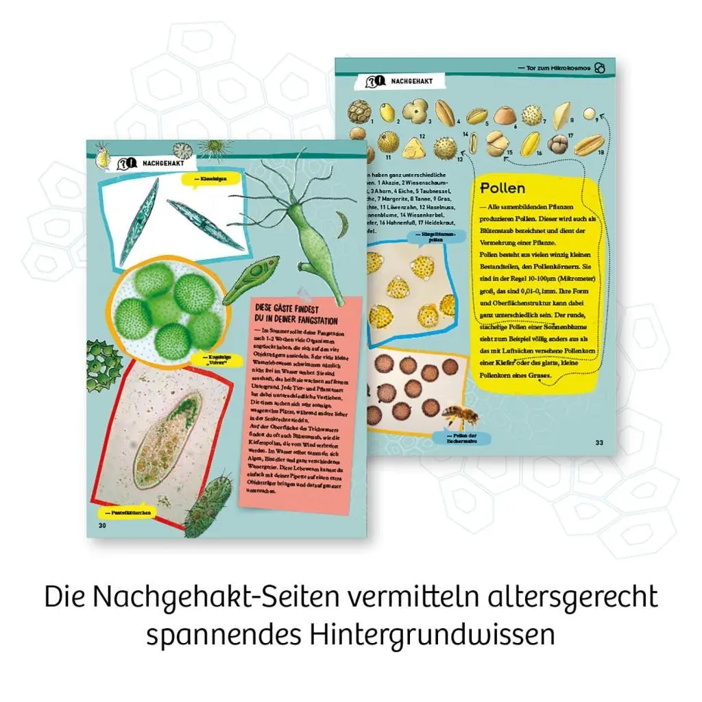 Bild: 4002051636050 | Entdecker-Mikroskop | Spiel | Brettspiel | 636050 | Deutsch | 2020