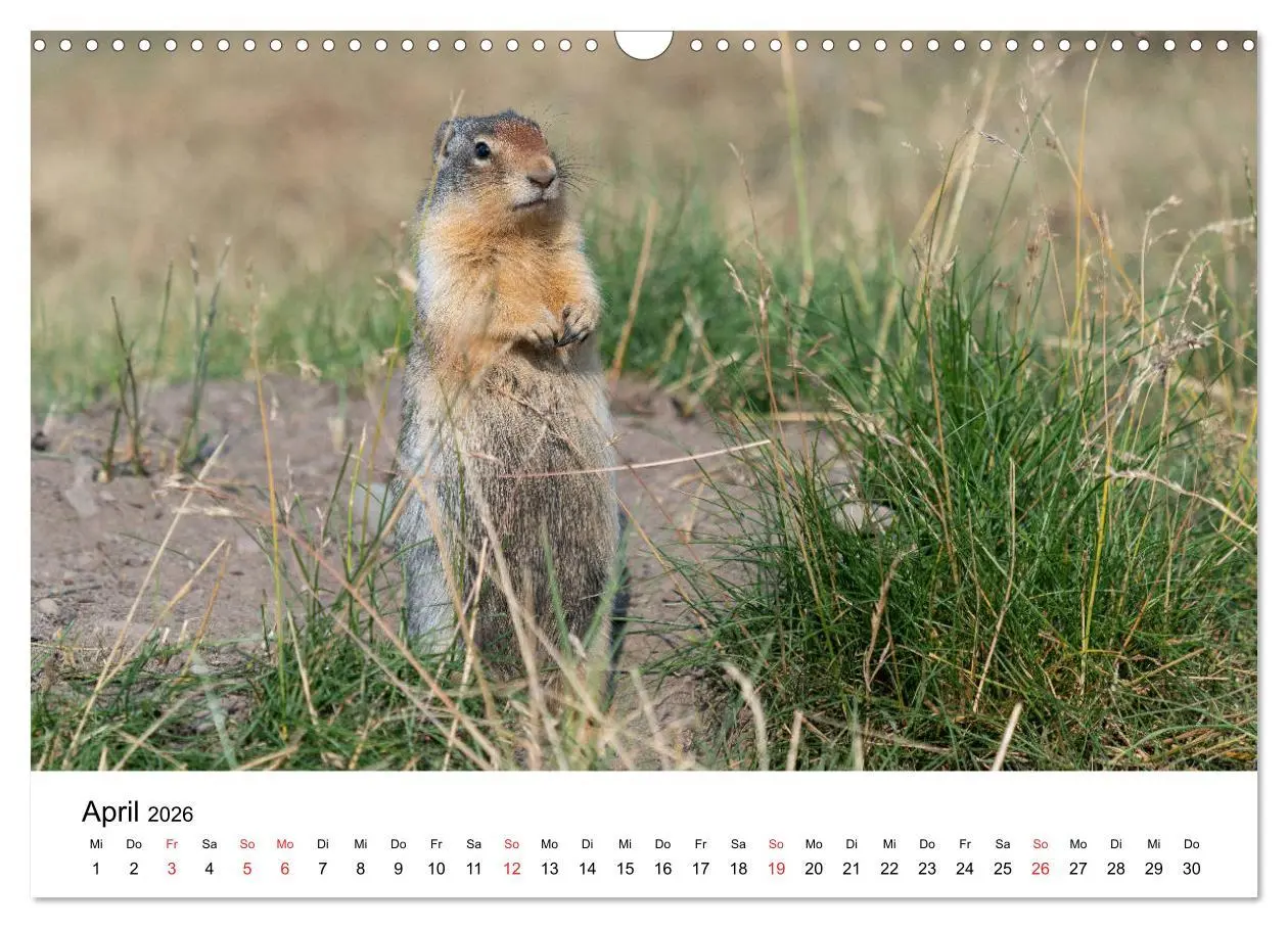 Bild: 9783457736050 | Fernweh Kanada - Naturerlebnis Rocky Mountains (Wandkalender 2026...
