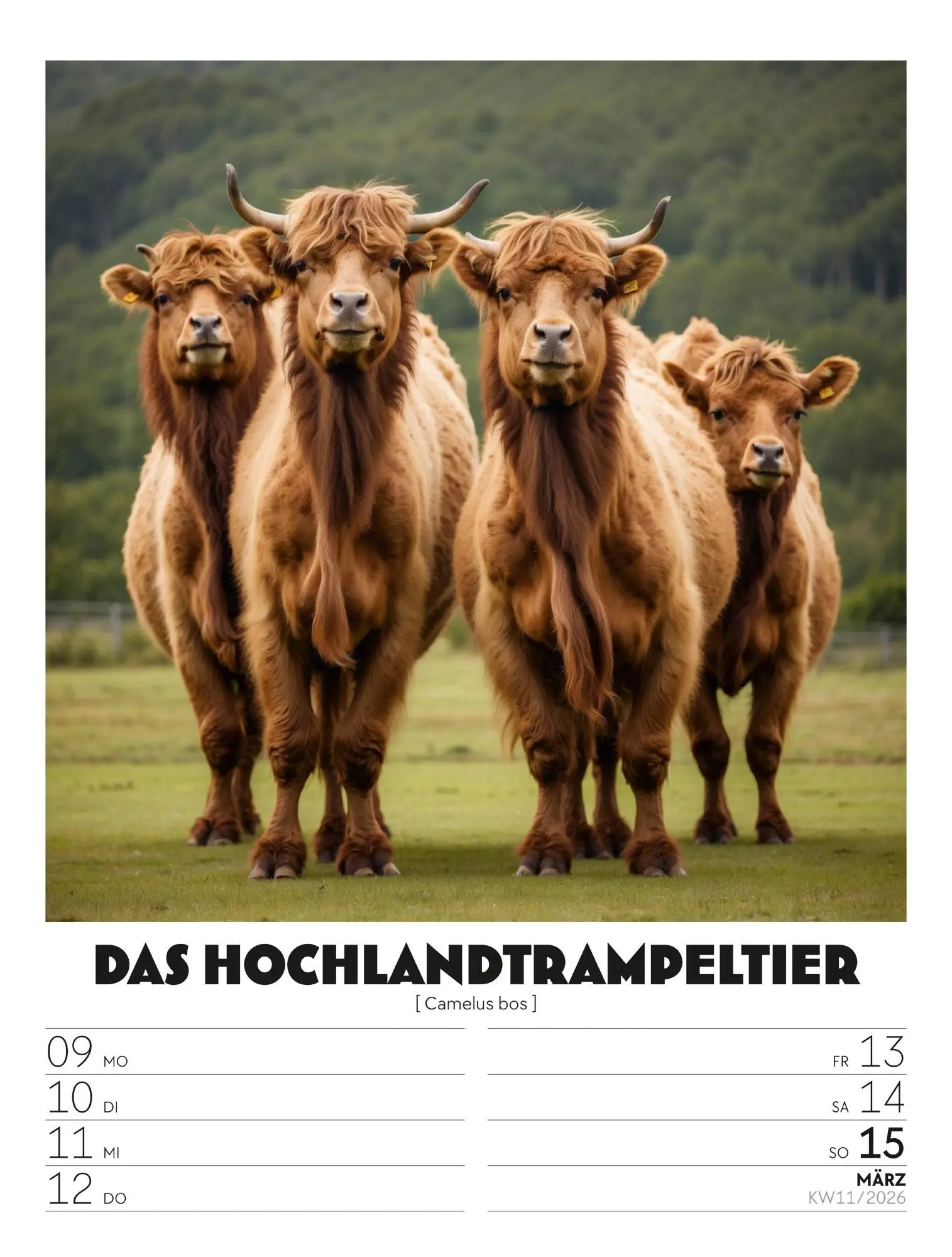 Bild: 9783838436050 | Verrücktes Tierleben - Wochenplaner mit KI-Bildern Kalender 2026