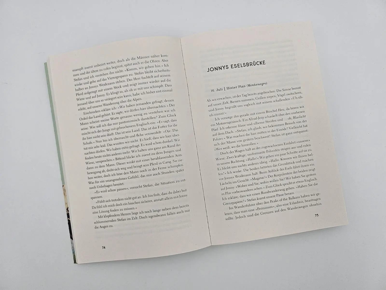 Bild: 9783890296050 | Immer den Nüstern nach | Lotta Lubkoll | Taschenbuch | 272 S. | 2025