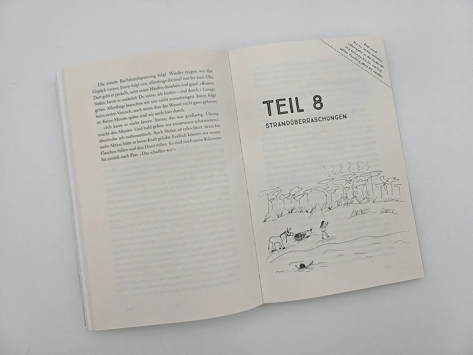 Bild: 9783890296050 | Immer den Nüstern nach | Lotta Lubkoll | Taschenbuch | 272 S. | 2025