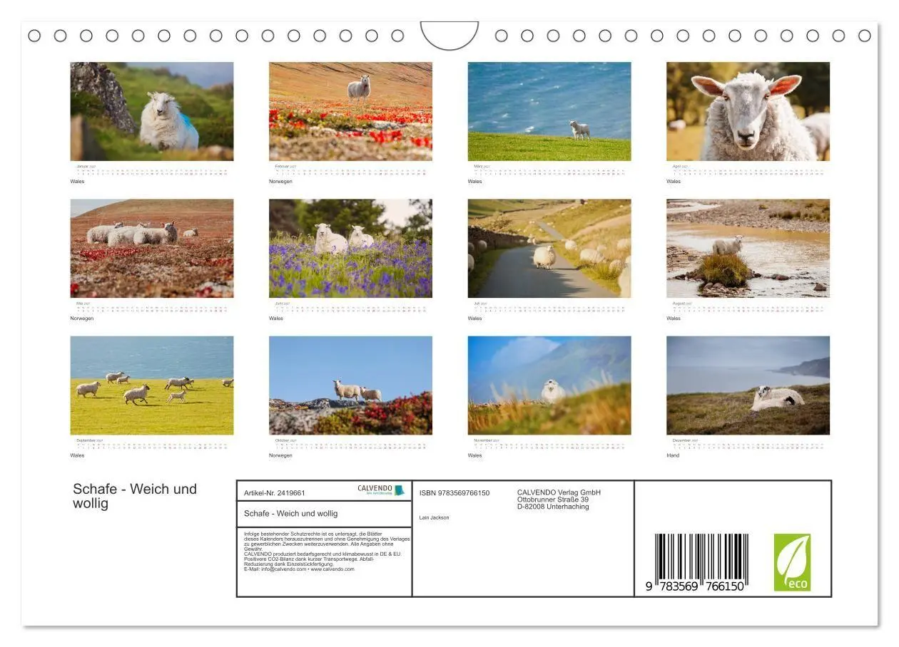 Bild: 9783569766150 | Schafe - Weich und wollig (Wandkalender 2027 DIN A4 quer), CALVENDO...