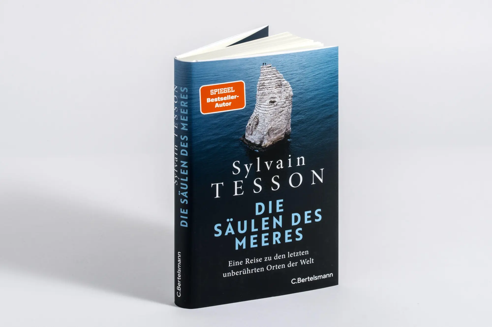 Bild: 9783570106150 | Die Säulen des Meeres | Sylvain Tesson | Buch | 208 S. | Deutsch