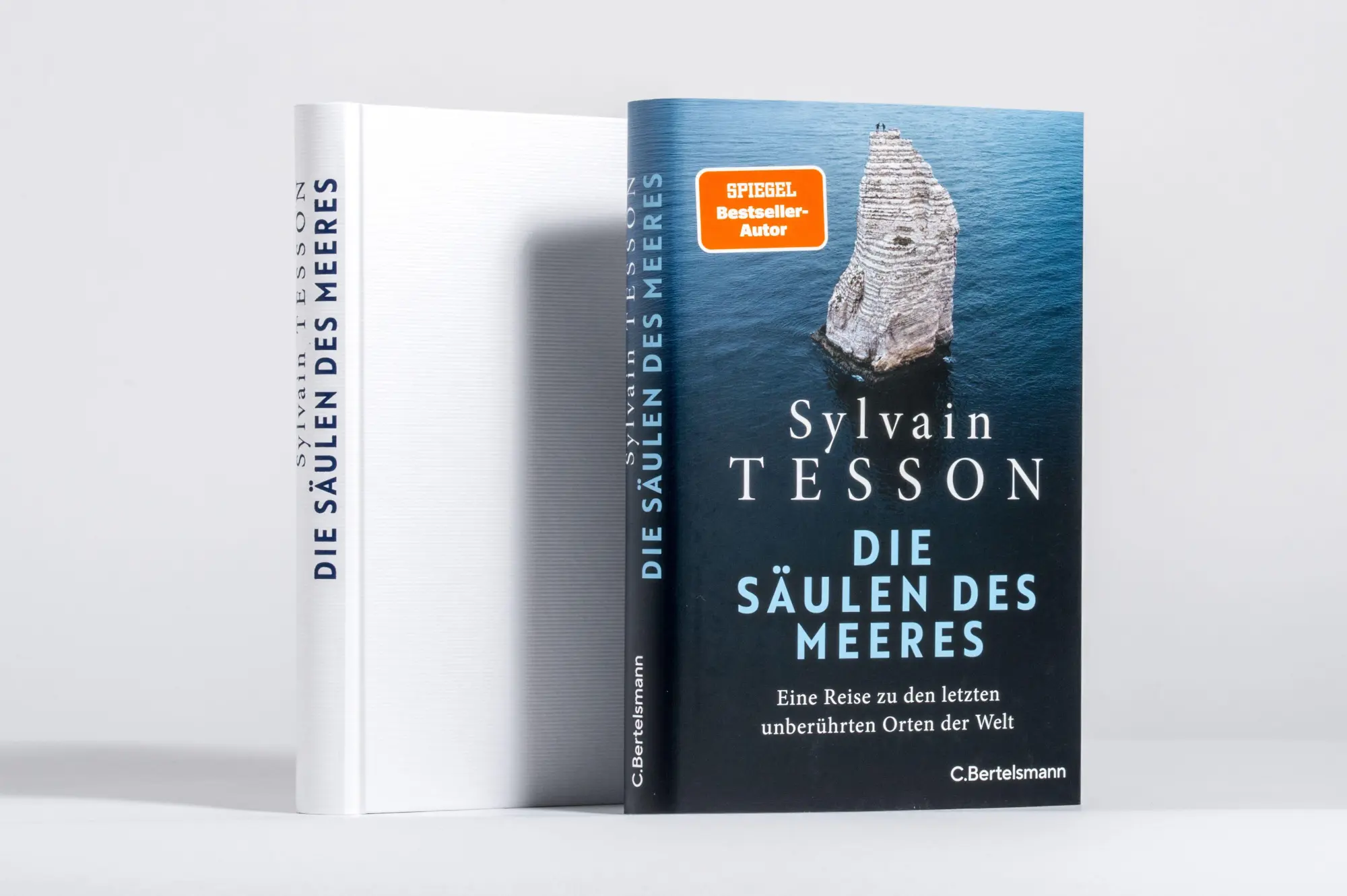 Bild: 9783570106150 | Die Säulen des Meeres | Sylvain Tesson | Buch | 208 S. | Deutsch