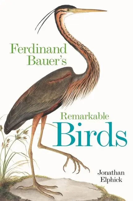Cover: 9781851246250 | Ferdinand Bauer's Remarkable Birds | Jonathan Elphick | Buch | 2024