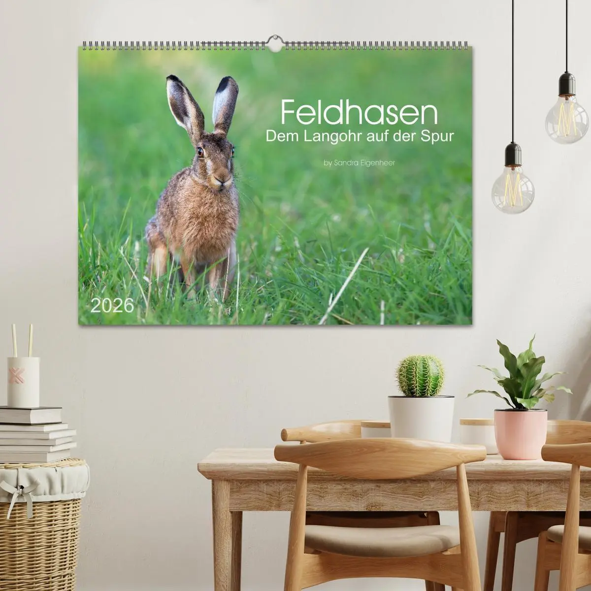 Bild: 9783516036350 | Feldhasen - dem Langohr auf der Spur (Wandkalender 2026 DIN A2...