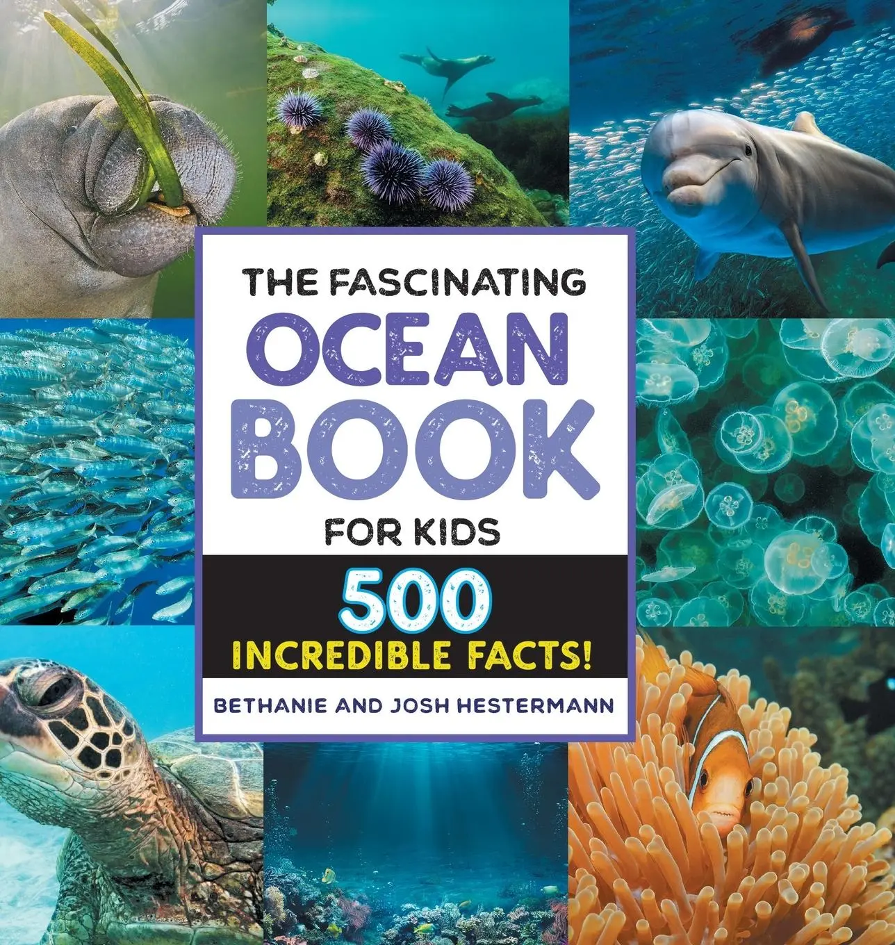 Cover: 9781638786450 | The Fascinating Ocean Book for Kids | 500 Incredible Facts! | Buch