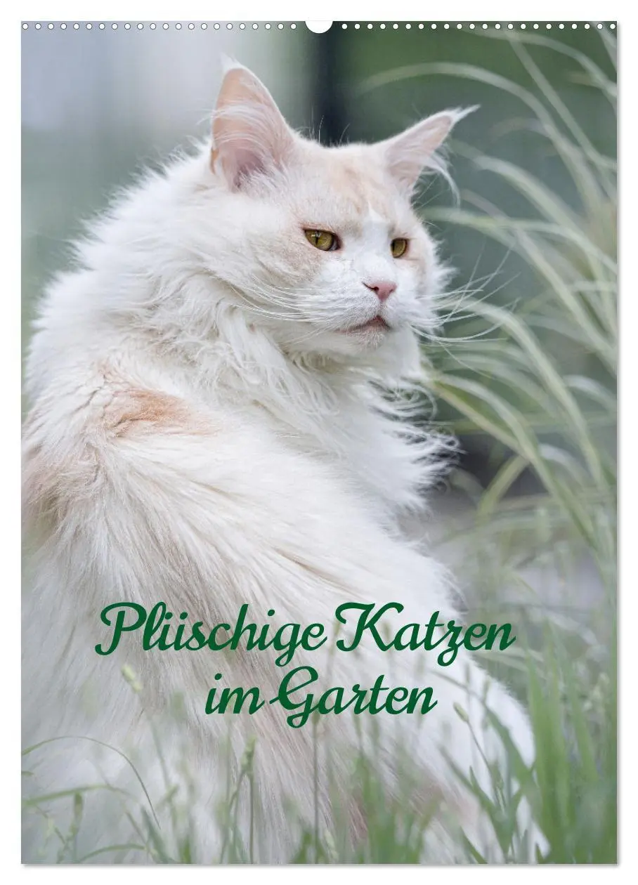 Cover: 9783516336450 | Plüschige Katzen im Garten (Wandkalender 2026 DIN A2 hoch),...