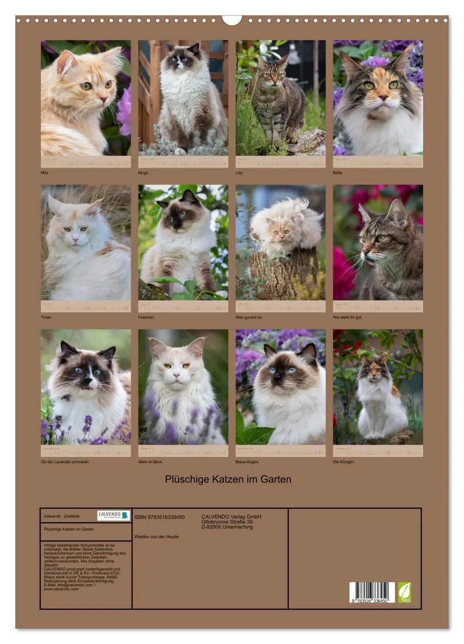 Bild: 9783516336450 | Plüschige Katzen im Garten (Wandkalender 2026 DIN A2 hoch),...