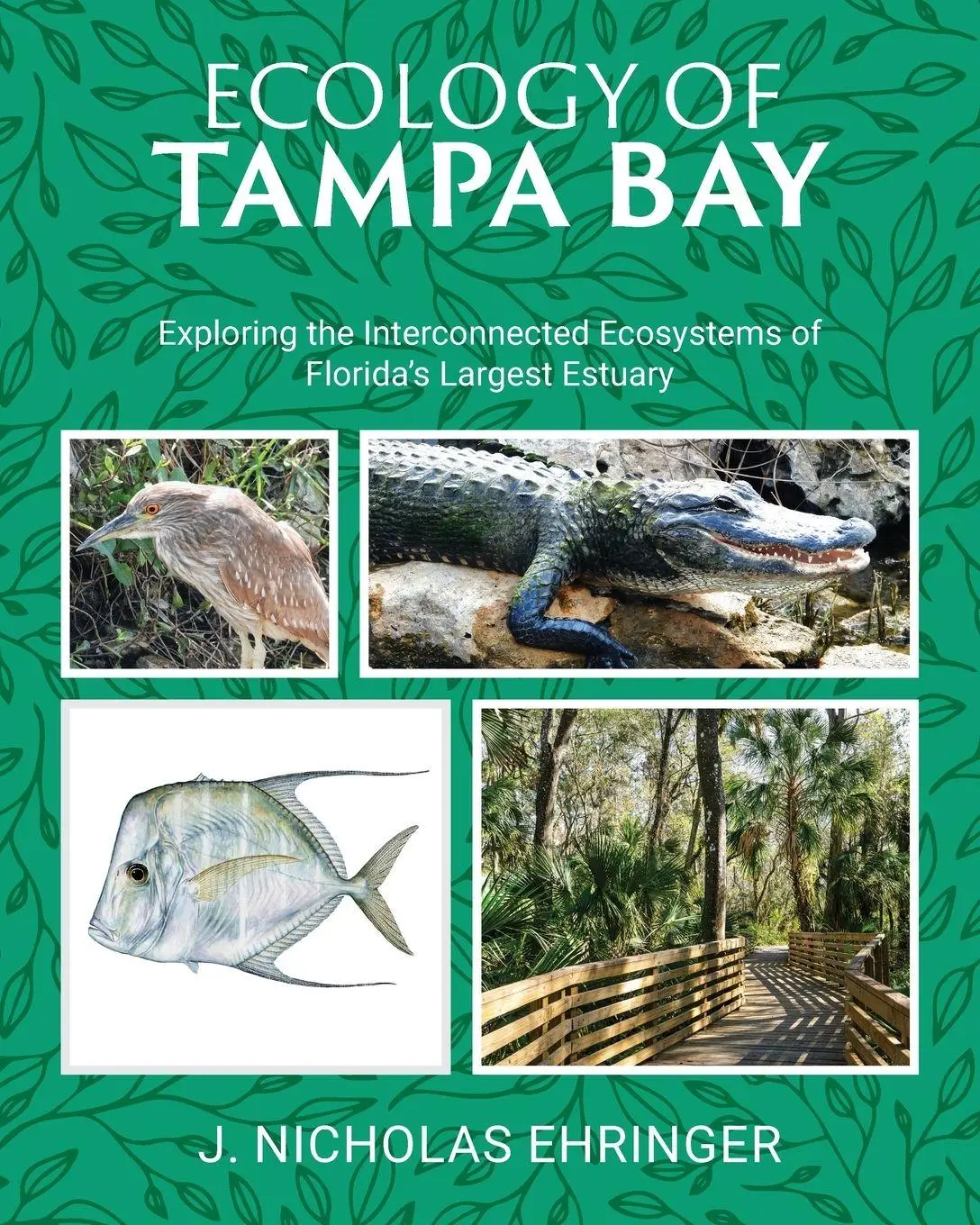 Ecology of Tampa Bay