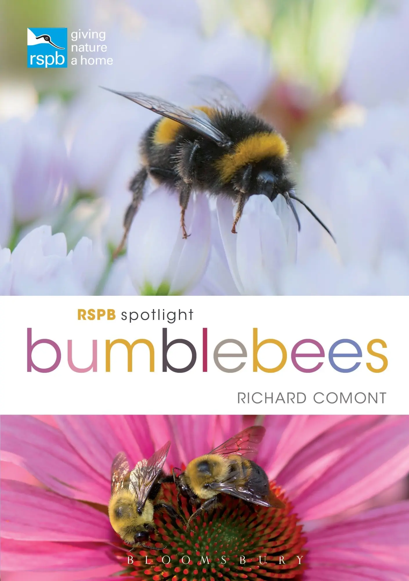 Cover: 9781472966650 | RSPB Spotlight Bumblebees | Richard Comont | Taschenbuch | Englisch