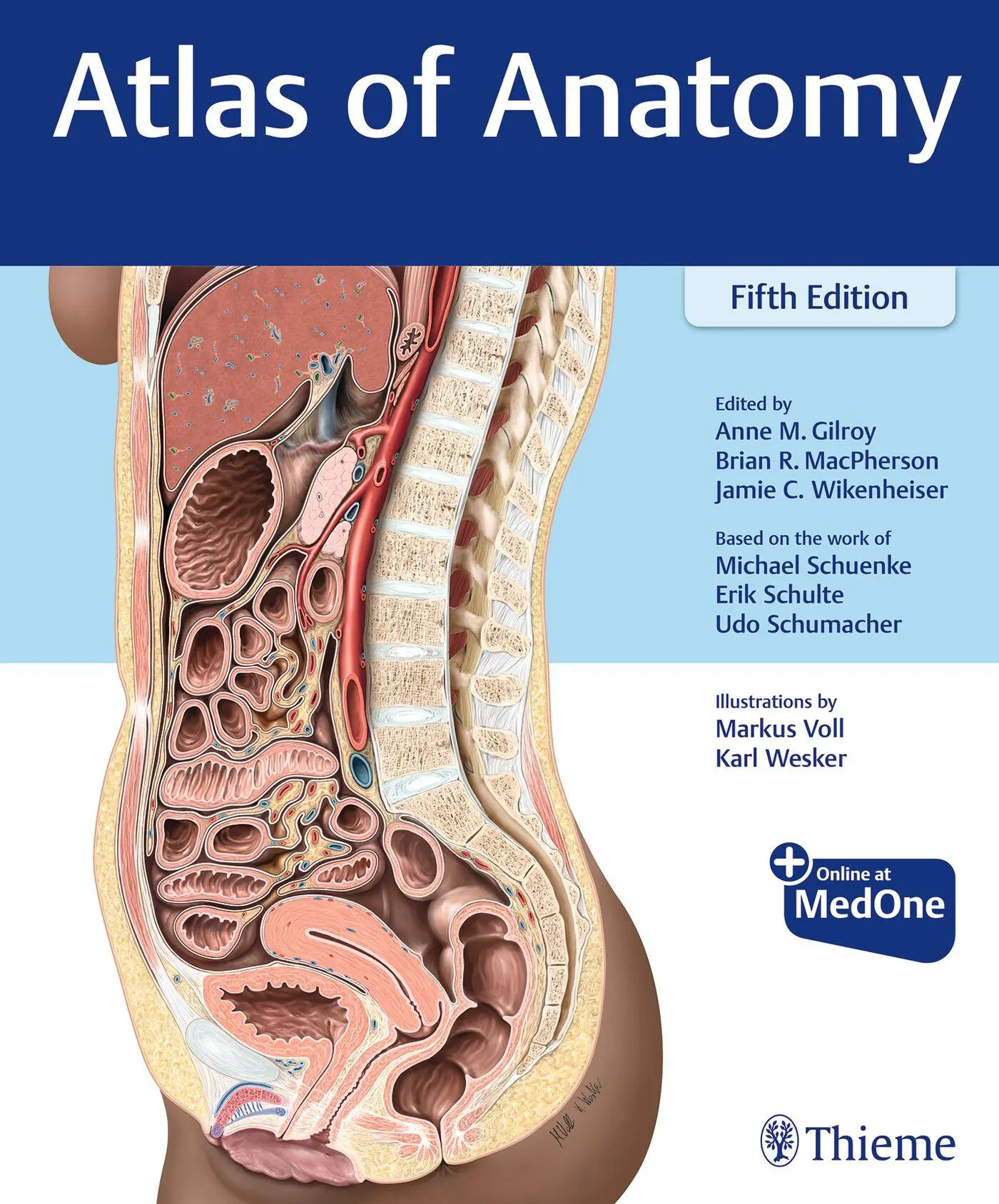Cover: 9781684206650 | Atlas of Anatomy | Anne M Gilroy (u. a.) | Bundle | 1 Taschenbuch