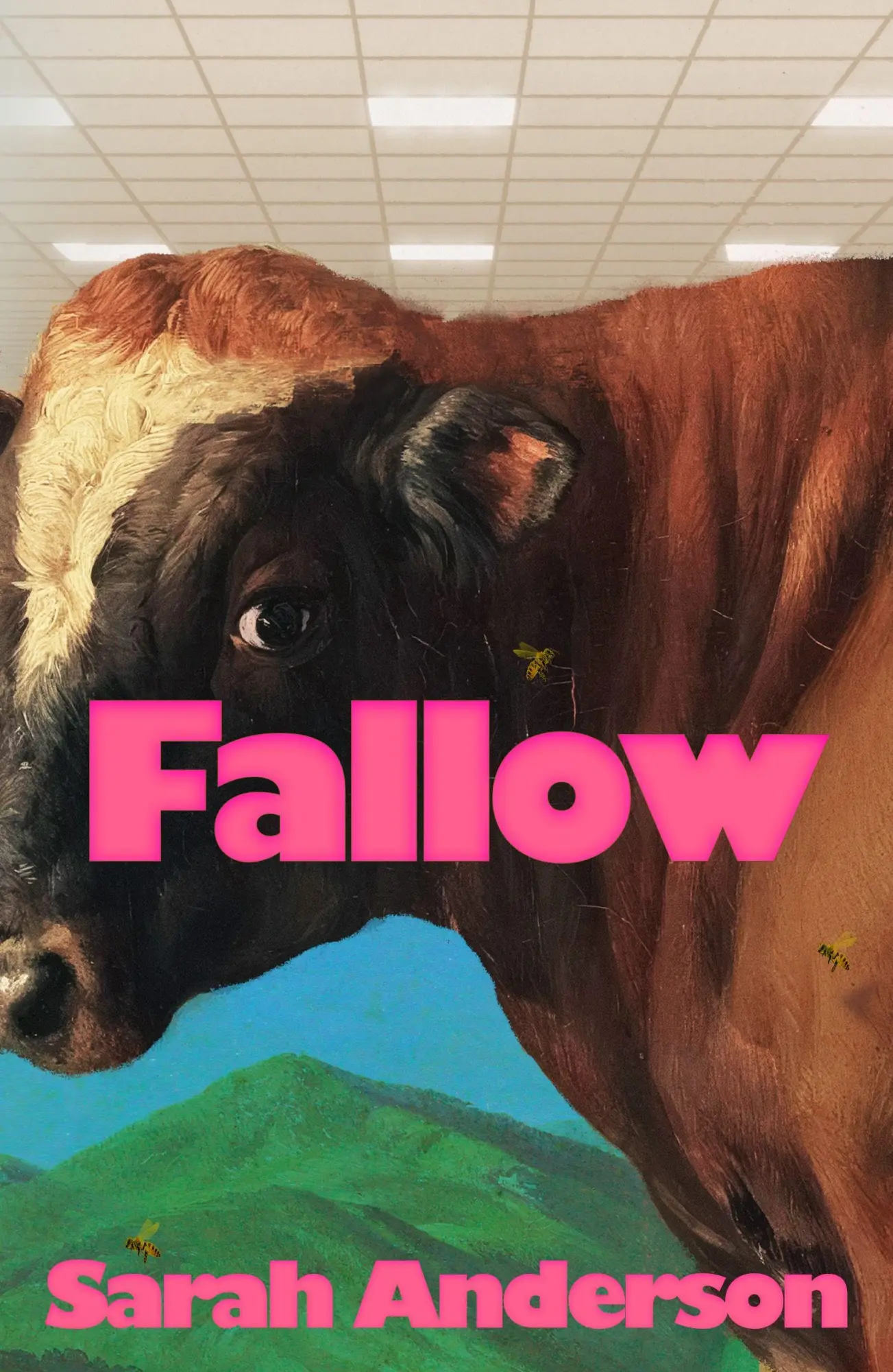 Cover: 9781787336650 | Fallow | Sarah Anderson | Taschenbuch | Englisch | 2027