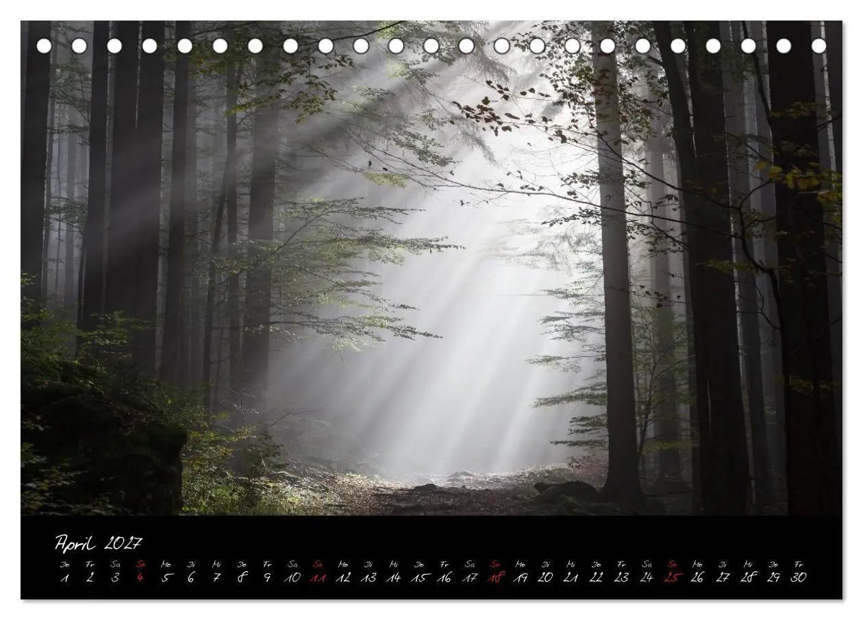 Bild: 9783594226650 | Bayerischer Wald (Tischkalender 2027 DIN A5 quer), CALVENDO...