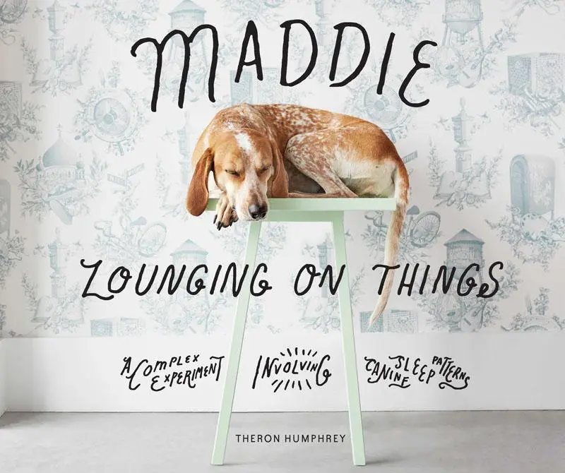 Cover: 9781419726750 | Maddie Lounging On Things | Theron Humphrey | Buch | Gebunden | 2017