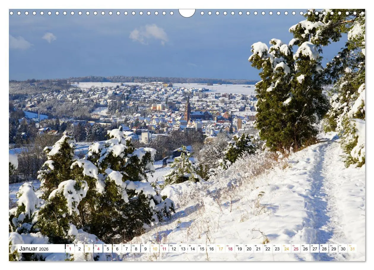 Bild: 9783457906750 | Hardheim und Umgebung (Wandkalender 2026 DIN A3 quer), CALVENDO...