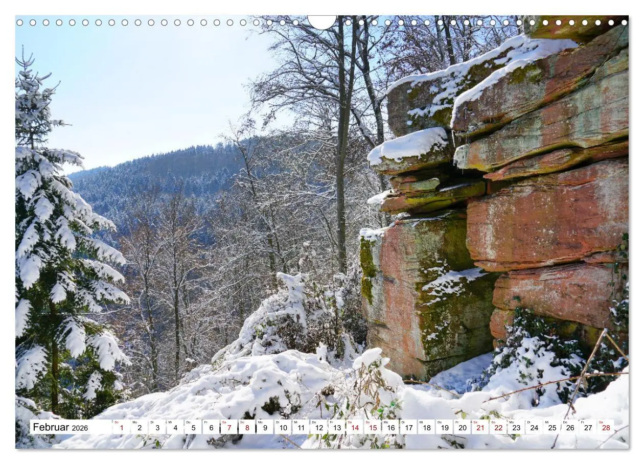 Bild: 9783457906750 | Hardheim und Umgebung (Wandkalender 2026 DIN A3 quer), CALVENDO...