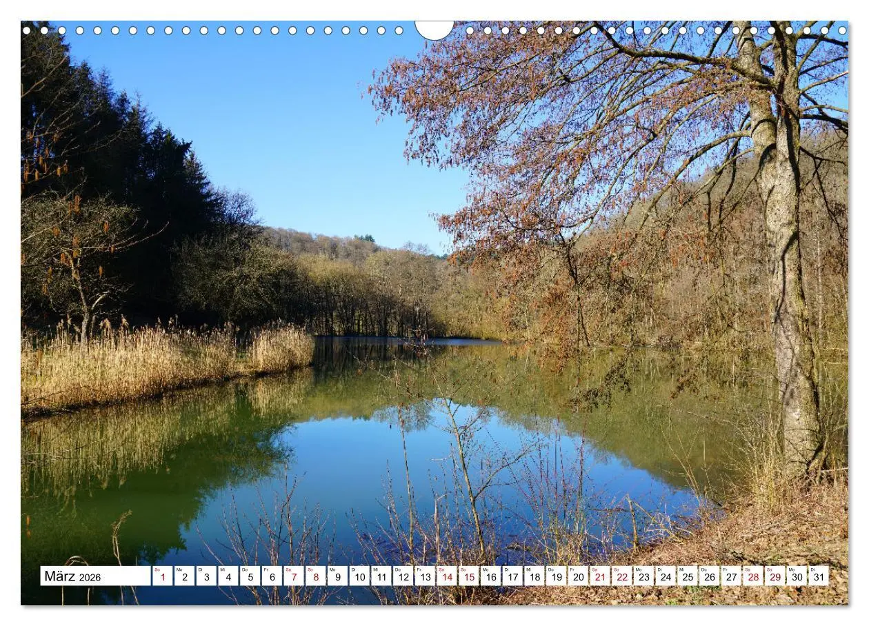 Bild: 9783457906750 | Hardheim und Umgebung (Wandkalender 2026 DIN A3 quer), CALVENDO...