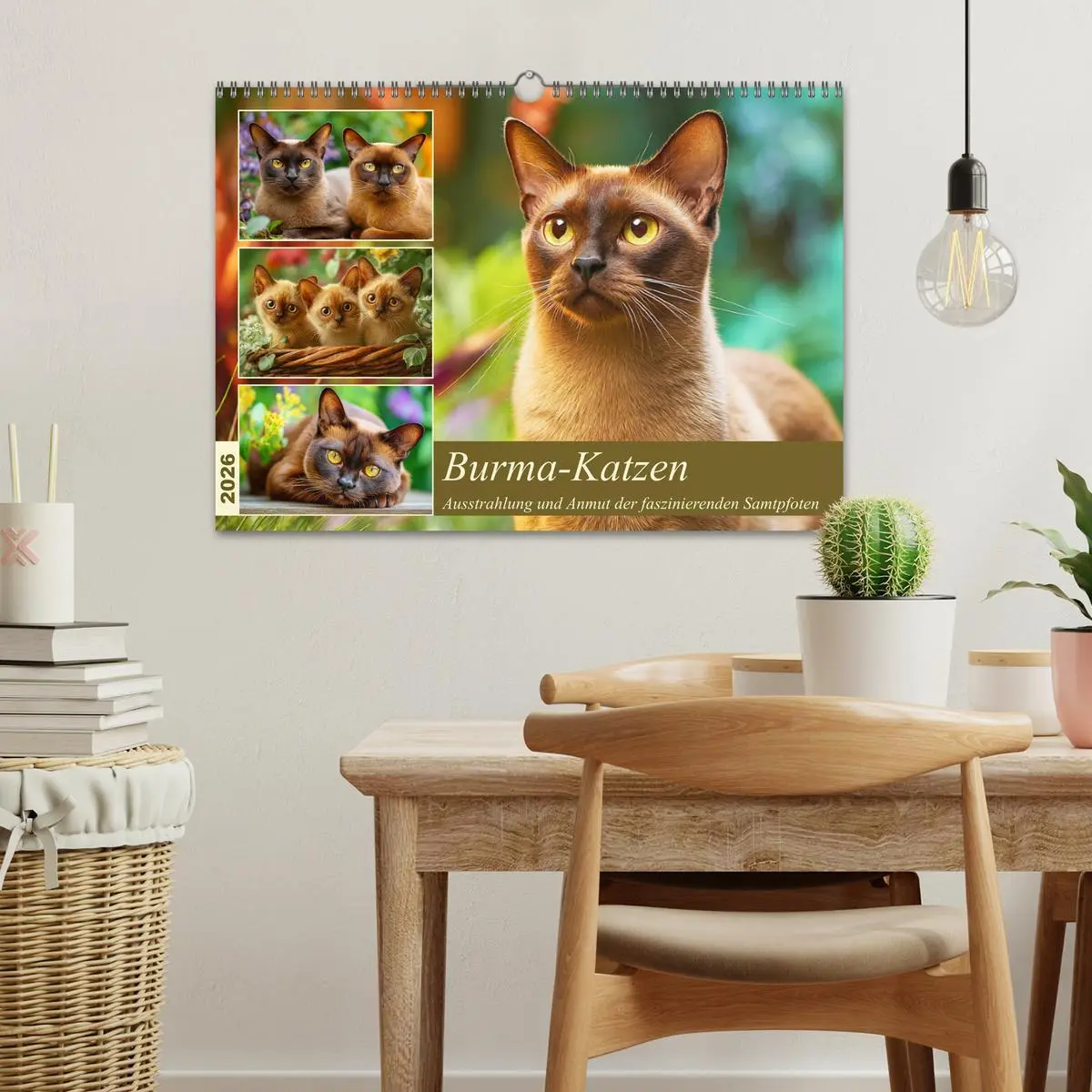 Bild: 9783516166750 | Burma-Katzen. Ausstrahlung und Anmut der faszinierenden Samtpfoten...