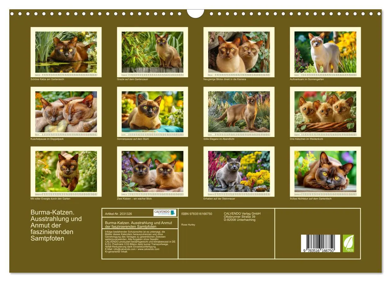 Bild: 9783516166750 | Burma-Katzen. Ausstrahlung und Anmut der faszinierenden Samtpfoten...