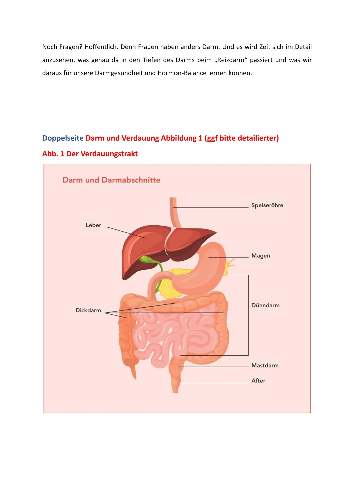 Bild: 9783833896750 | Frauen haben anders Darm | Julia Seiderer-Nack | Taschenbuch | 240 S.
