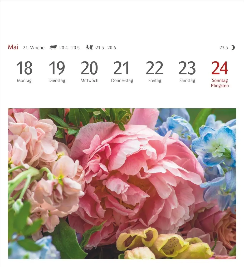 Bild: 9783840036750 | Blumenpracht Postkartenkalender 2026 - Wochenkalender mit 53...