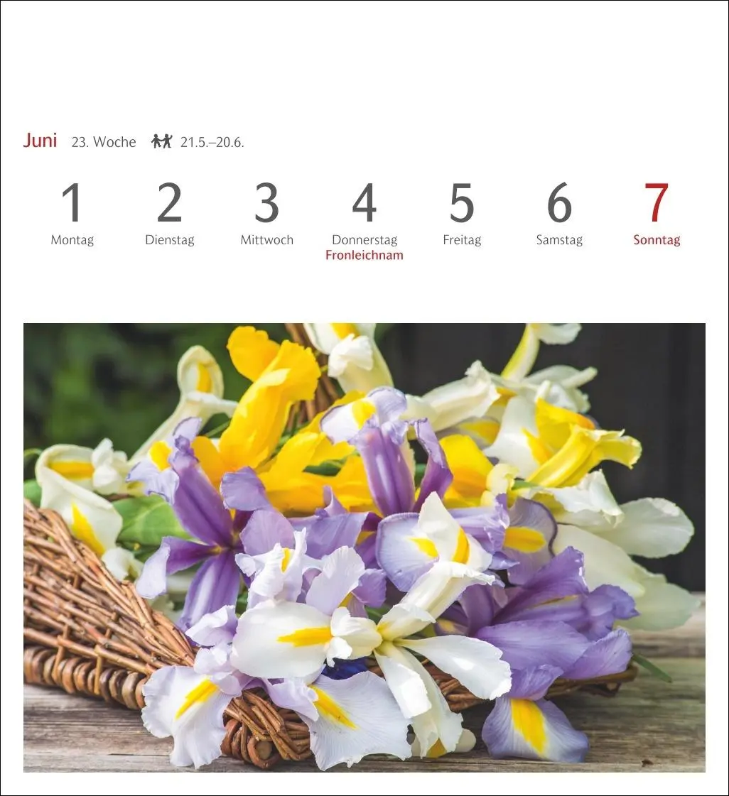 Bild: 9783840036750 | Blumenpracht Postkartenkalender 2026 - Wochenkalender mit 53...