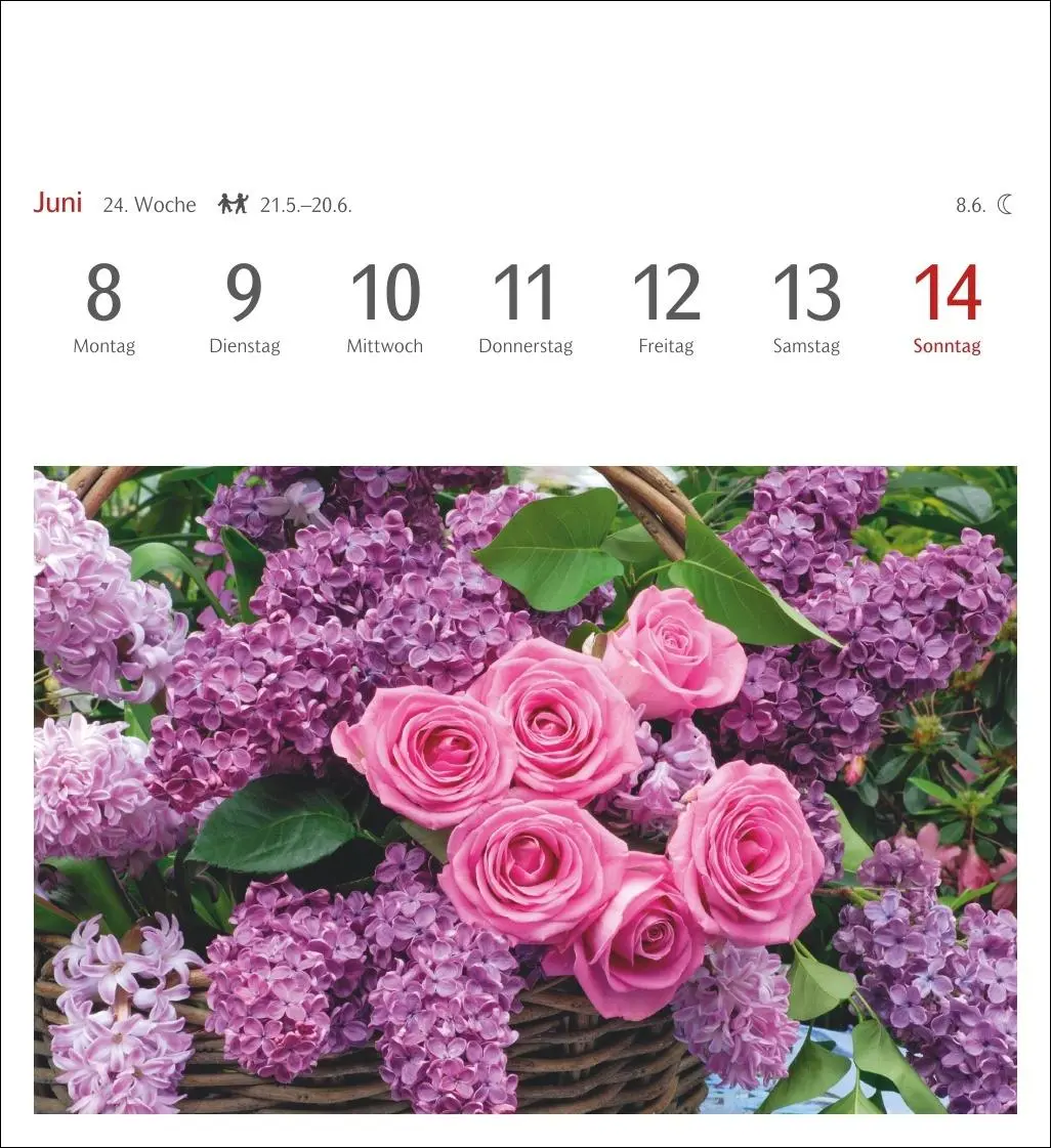 Bild: 9783840036750 | Blumenpracht Postkartenkalender 2026 - Wochenkalender mit 53...