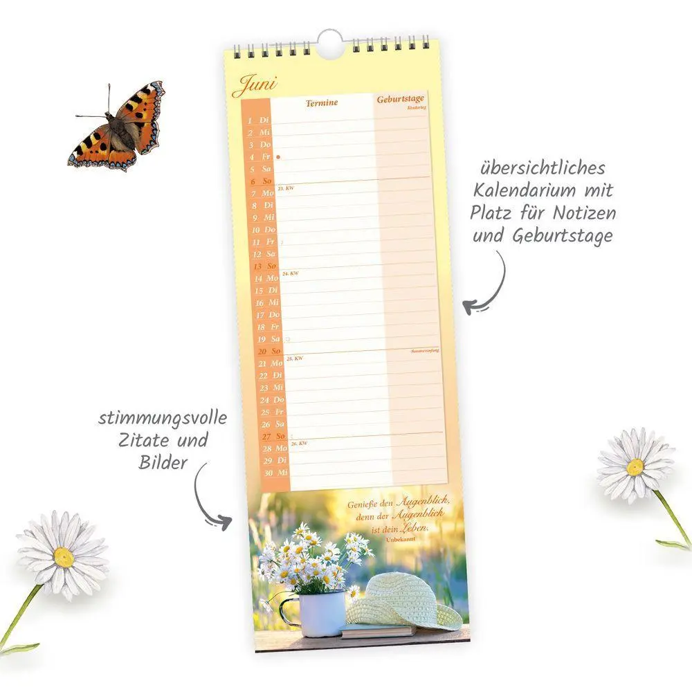 Bild: 9783988026750 | TRÖTSCH - Maxi-Streifenkalender Omas Kalender 2027 | Wandkalender | KG