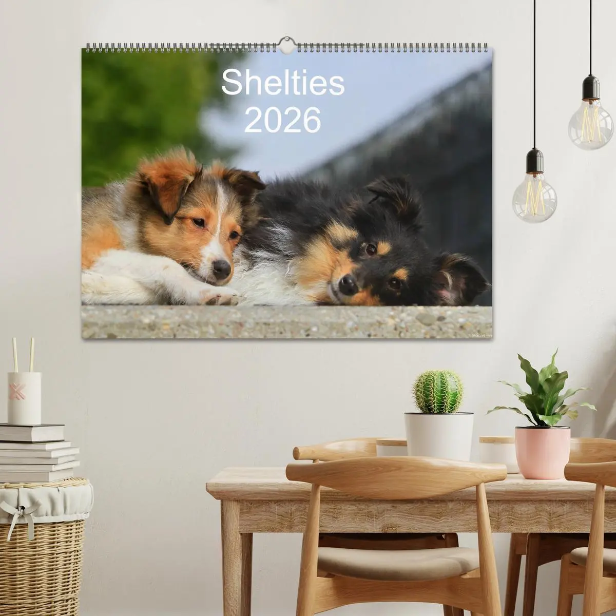 Bild: 9783516156850 | Shelties 2026 (Wandkalender 2026 DIN A2 quer), CALVENDO Monatskalender