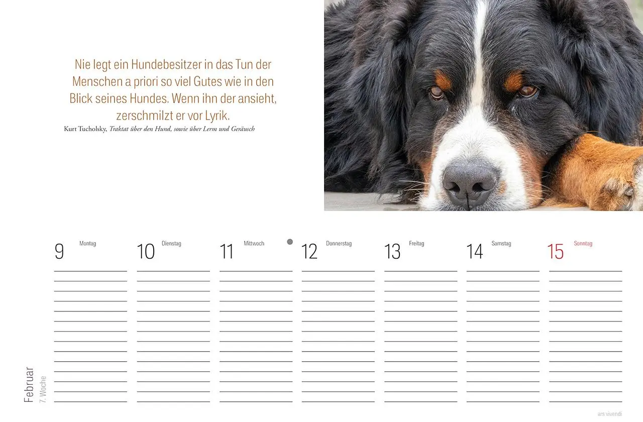 Bild: 9783747206850 | Tischkalender Hunde 2026 | Literarischer Tischkalender | Vivendi Ars