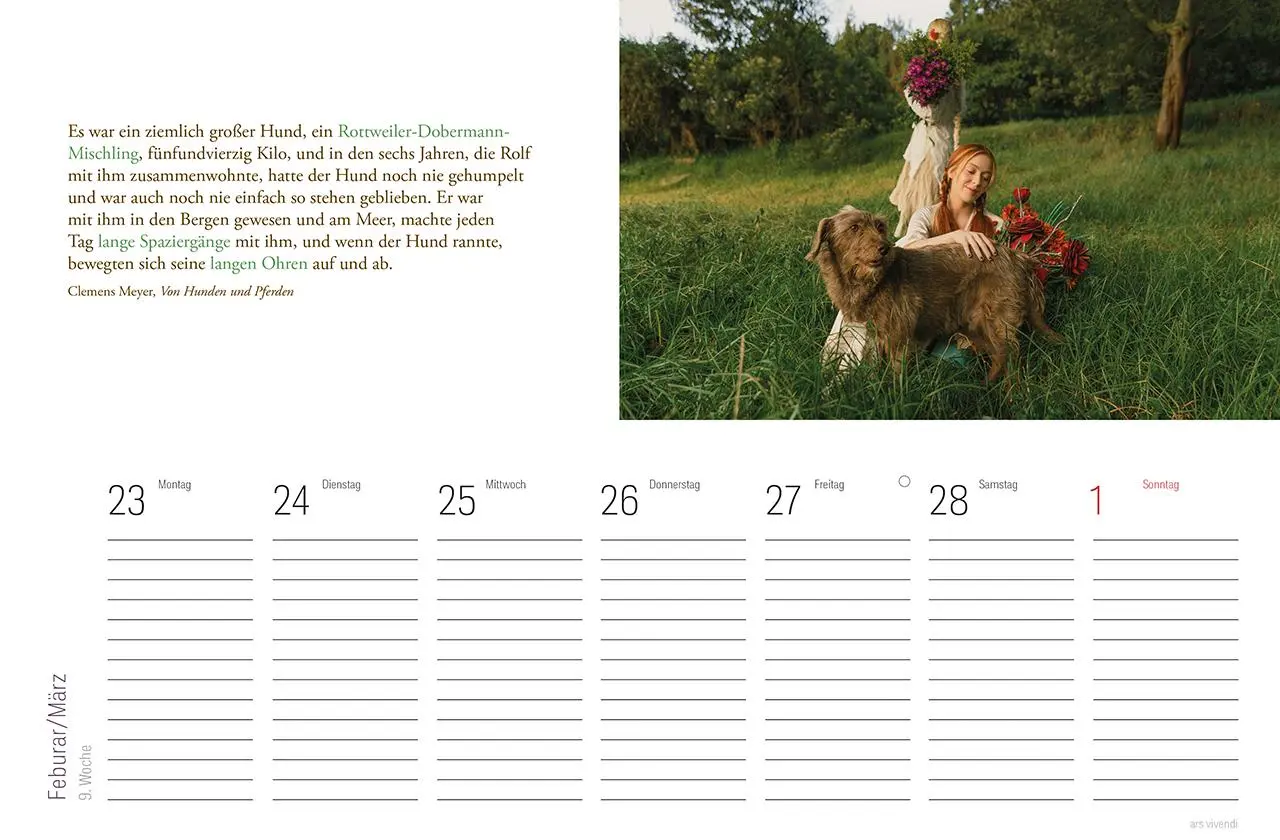 Bild: 9783747206850 | Tischkalender Hunde 2026 | Literarischer Tischkalender | Vivendi Ars
