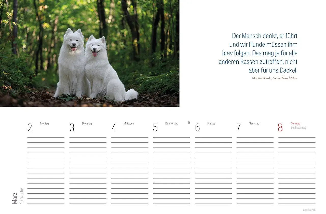Bild: 9783747206850 | Tischkalender Hunde 2026 | Literarischer Tischkalender | Vivendi Ars