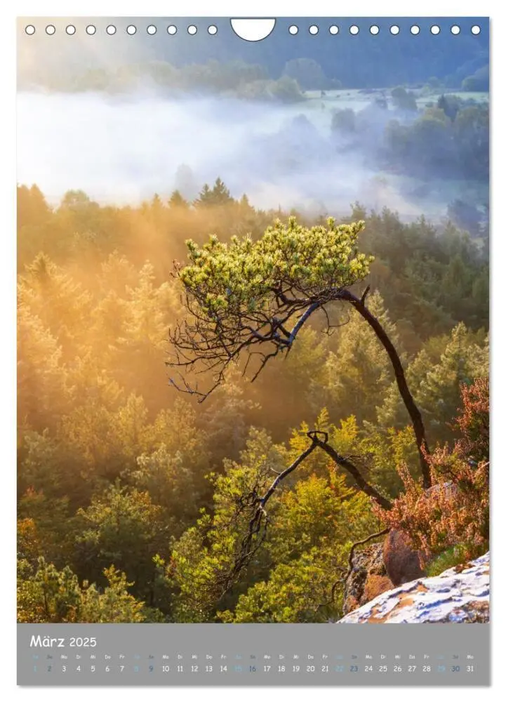 Bild: 9783435896950 | Traumhafte Pfalz (Wandkalender 2025 DIN A4 hoch), CALVENDO...